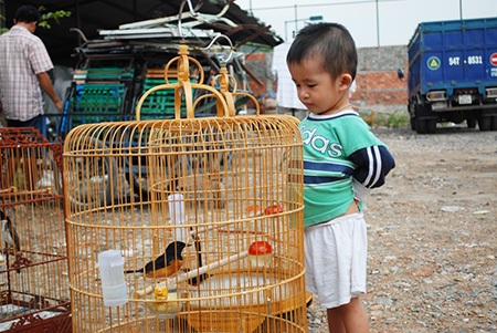 Vụ bảo mẫu đánh trẻ: “Con tôi không giật mình khóc đêm nữa” - 4 Bé Hoà hồn nhiên trong vòng tay của mẹ