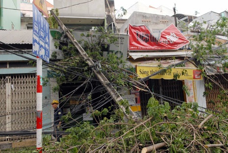 Cây cổ thụ bật gốc đè đổ 5 trụ điện, nhiều người hoảng loạn - 7 Hệ thống cột điện bị kéo đổ, sập vào nhà dân