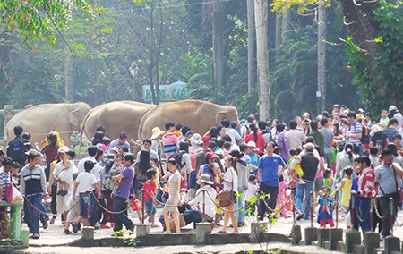 Khu vui chơi đông nghẹt ngày đầu năm - 8 Xem khu vực nuôi thú