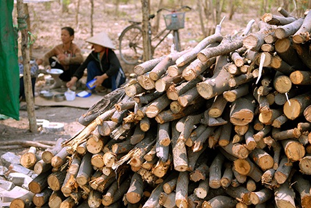 Cơ cực nghề “mót củi” giữa Sài Gòn - 4 Những bó củi thấm đẫm mồ hôi của người lao động nghèo