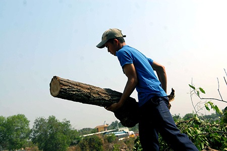 Cơ cực nghề “mót củi” giữa Sài Gòn - 5 Trung
Kiên - Xuân Hinh