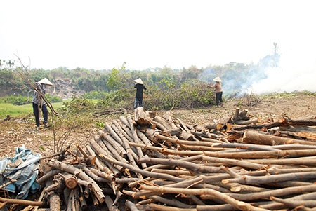 Cơ cực nghề “mót củi” giữa Sài Gòn - 3 Những bó củi thấm đẫm mồ hôi của người lao động nghèo