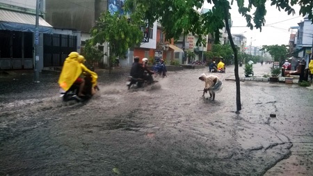 TP HCM: Mưa lớn gây ngập, lốc xoáy “hạ gục” cây xanh, mái tôn - 1 Một số tuyến đường ngập sâu trong nước sau cơn mưa giải nhiệt