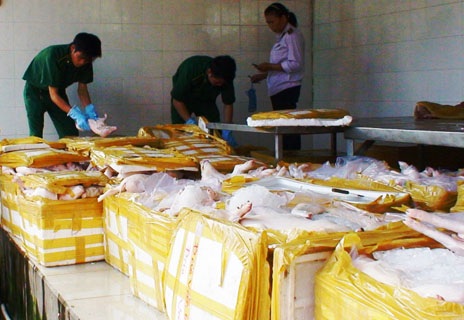 TPHCM gian nan cuộc chiến chống thịt “bẩn” - 1 Nhân viên Trạm kiểm dịch Thủ Đức kiểm tra một lô hàng thịt bẩn đang tuồn vào thành phố