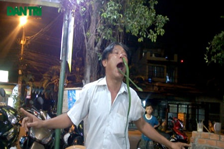 Những người ngày ngày ăn than, nuốt kiếm - 2 Màn biểu diễn với rắn lục khiến nhiều người khiếp vía