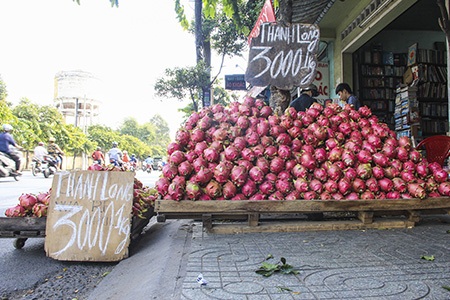 Thanh long đổ bộ tại vỉa hè