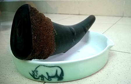 Thú chơi “thần dược” tiền tỷ của đại gia Sài thành - 1 Chiếc sừng tê giác được một đại gia Sài thanh mua với giá gần 400 triệu đồng