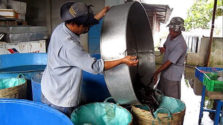 Nghề "độc" kiếm hàng trăm triệu của nông dân thành phố - 2 Mô hình nuôi lươn không cần bùn đang đem lại hiểu quả kinh tế cho người nông dân