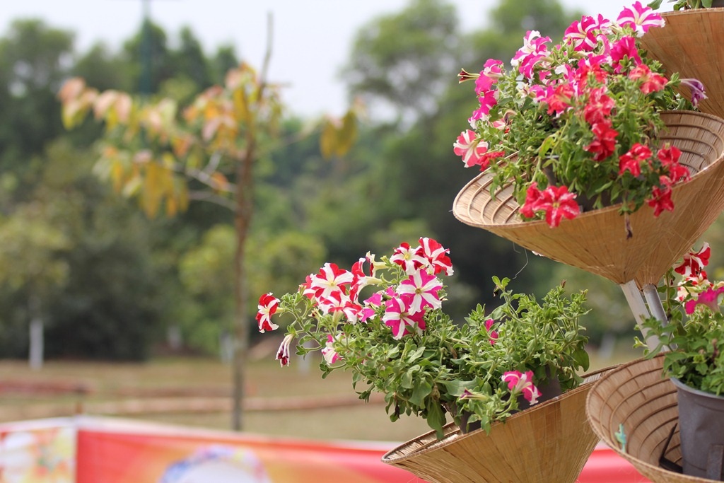 Những chiếc nón hoa treo lủng lẳng trên các tiểu cảnh.