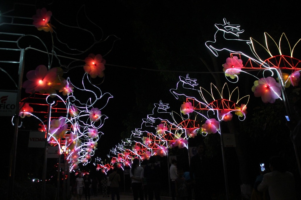 Hình ảnh đèn hoa sáng lung linh về đêm