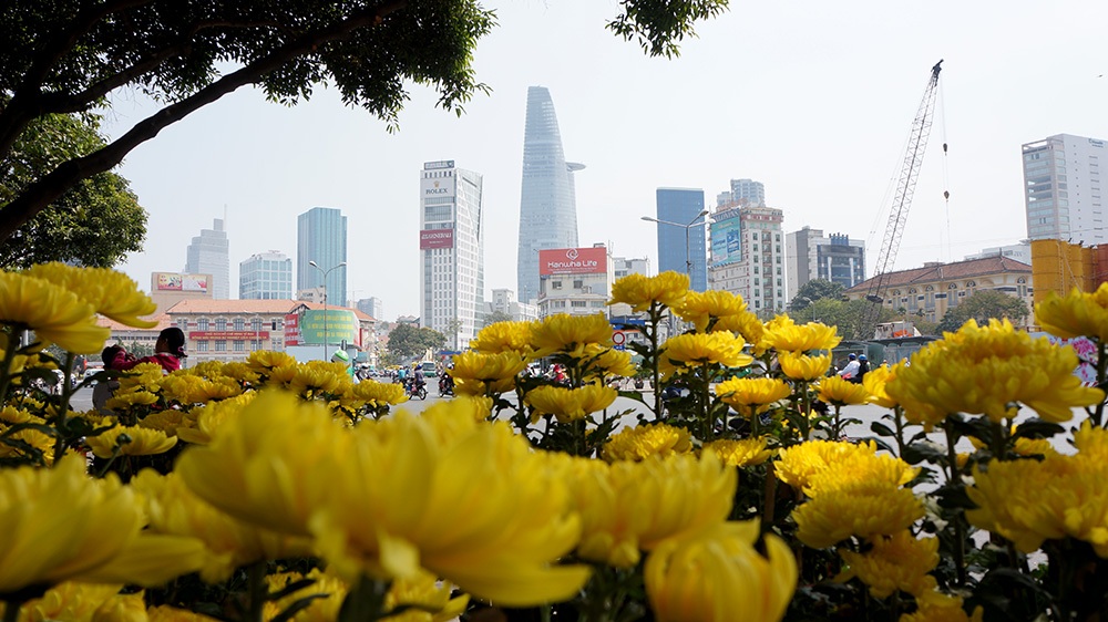Hình ảnh cuối cùng của chợ hoa tết 2015 - 2 Chợ hoa xuân 2015 đã khép lại vào 12 trưa 18/2