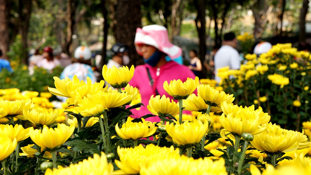 Hình ảnh cuối cùng của chợ hoa tết 2015 - 14 Trung Kiên – Xuân Hinh