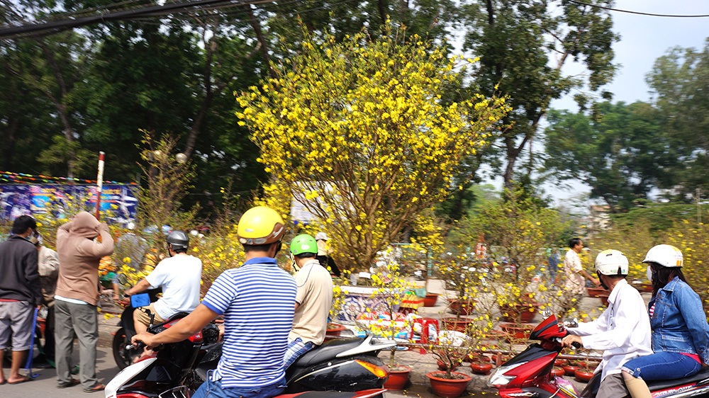Hình ảnh cuối cùng của chợ hoa tết 2015 - 4 Người bán, người mua đều hối hả trong ngày cuối cùng của năm