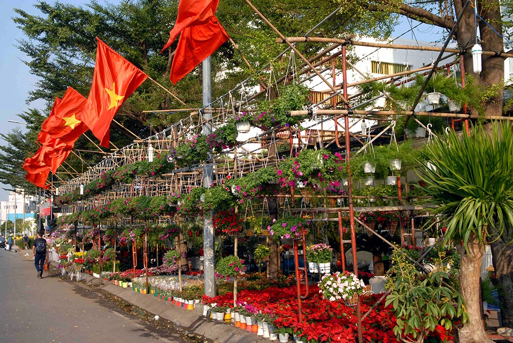 Hoa Tết "đổ bộ" về phố - 10 Thị trườn hoa tết năm nay đa phần sẽ có giá bình dân