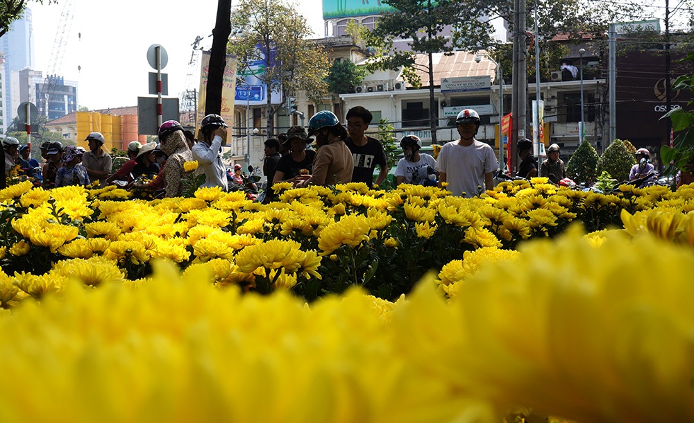 Hình ảnh cuối cùng của chợ hoa tết 2015 - 6 Trung Kiên – Xuân Hinh