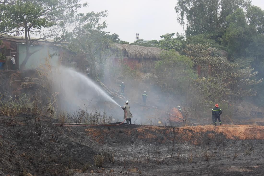 Rừng cỏ phát hỏa, bãi giữ xe vi phạm “suýt” gặp nguy - 1 Rừng cỏ phát hỏa, bãi giữ xe vi phạm “suýt” gặp nguy