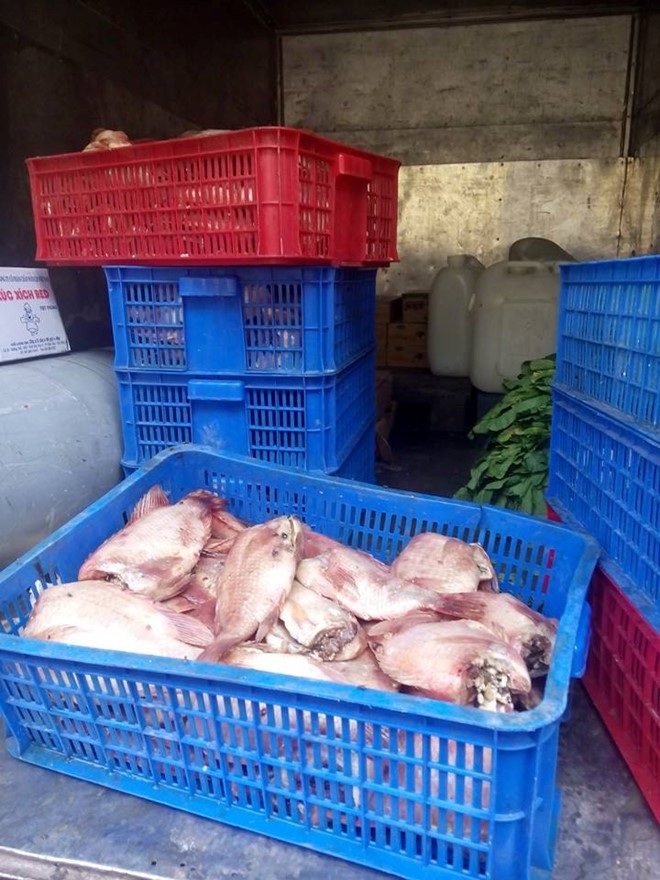 Số cá đã bốc mùi do của công ty Phú Hào chở đến Trường tiểu học Long Bình 