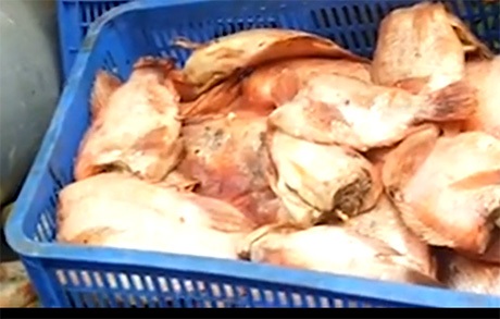 Thịt, cá “bẩn” vào trường học: Đã có kết quả thanh tra bếp ăn - 1 Vụ phát hiện thịt, cá “bẩn”: Kết quả thanh tra 18 bếp ăn trong trường học