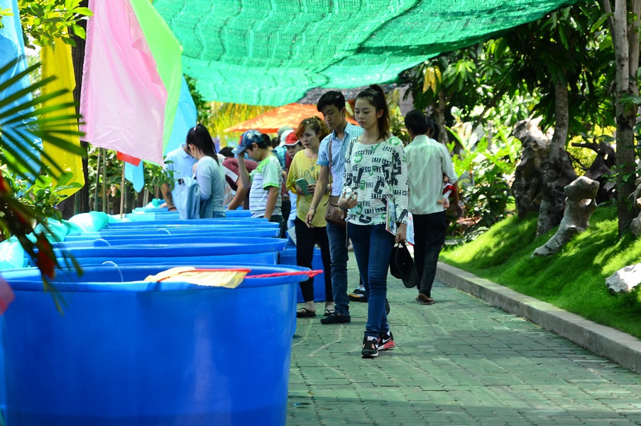 Lần đầu tiên đưa cá “khủng” vào khai thác du lịch - 3 Các loại cá khủng lần được đưa vào khai thác du lịch