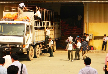 Vụ kho cà phê cầm cố cho 7 ngân hàng: “Đại gia” cà phê bị bắt - 1 Cùng với số cà phê trong kho nhưng Công ty Trường Ngân đã cầm
cố vay vốn được của nhiều ngân hàng