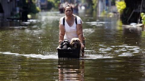 Lũ lụt ảnh hưởng gần 10.000 nhà máy, nhiều nước khuyến cáo du lịch - 1 Lũ lụt ảnh hưởng gần 10.000 nhà máy, nhiều nước khuyến cáo du lịch - 1