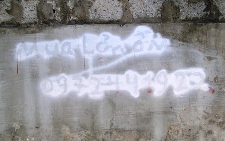 Các tường rào từ đầu thôn vào đến cuối thôn đều biến thành biển quảng cáo