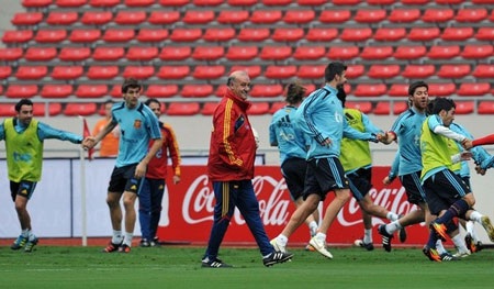 Fernando Torres: Vị thế nào ở La Furia Roja? - 1