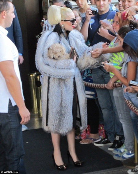 Lady Gaga bị "ném đá" vì mặc áo lông thú - 3 Lady Gaga kí tặng các fan đứng chờ trước cửa khách sạn tại Bulgary