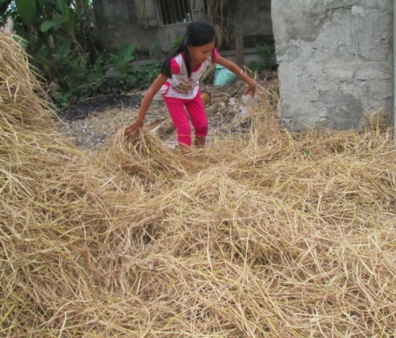 Giữa trưa nắng chang chang, em bé này vẫn đầu trần phơi rác giúp bố mẹ