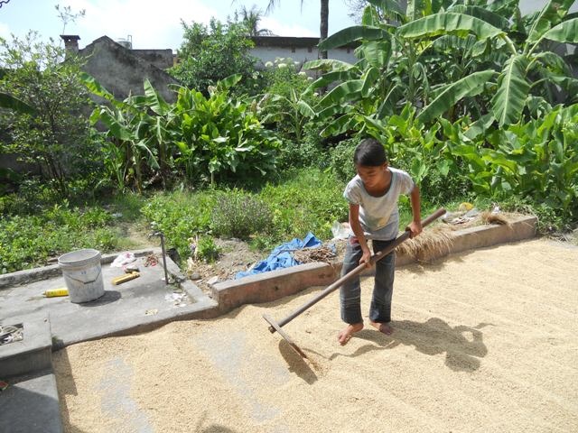Bố mất sớm, từ khi lên 7 tuổi Mai đã phải làm tất cả những việc đồng áng cùng mẹ