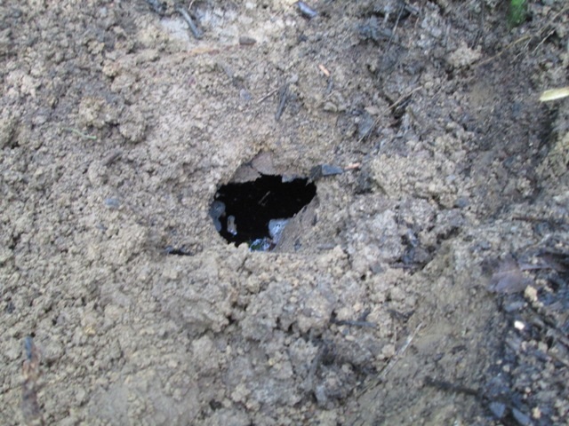 Nhiều nắp thùng phuy hoen gỉ bị người dân đào thủng thấy nước bên trong