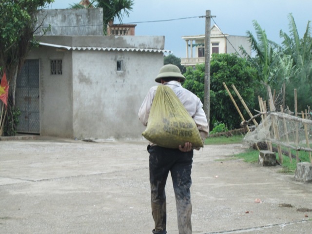 Ngao chết chỉ còn biết mang về hoặc đổ đi