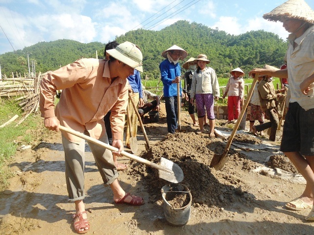 Những giáo viên mất nghề phải trở về làm ruộng hoặc làm phụ hồ thuê để kiếm sống