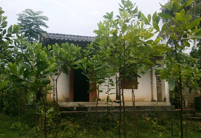 Vụ hai chị em họ tự tử: Người nuôi hai em cũng treo cổ quyên sinh - 1 Ngôi nhà hoang, nơi ông Biên treo cổ quyên sinh