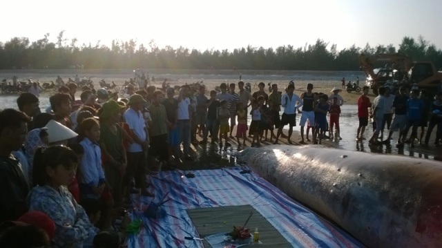 Ngư dân làm lễ cầu bình an may mắn mỗi khi ra biển