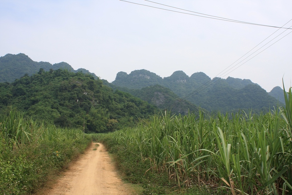 Đường dẫn vào chân núi 