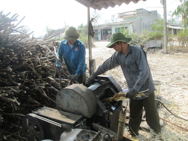 Công đoạn đầu tiên của việc làm mật mía là ép lấy nước
