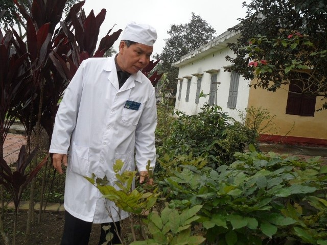 Ông vua chữa bỏng bên cạnh vườn thuốc quý 