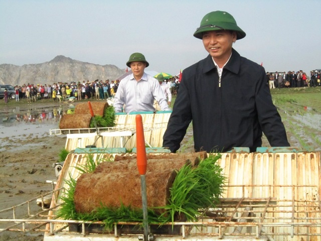 Phó Chủ tịch tỉnh lội ruộng đi cấy