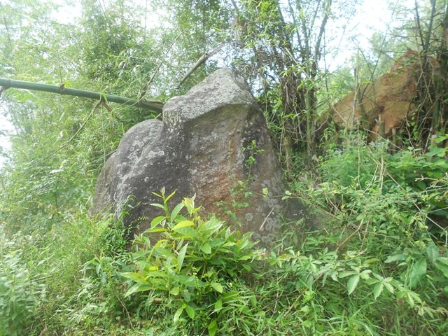 Tảng đá hình con Cóc được người dân cho rằng đây là một trong 3 vị thần Cóc án ngự ở làng