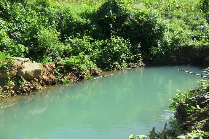 Con suối, nơi xảy ra cái chết thương tâm của cháu Hợi 