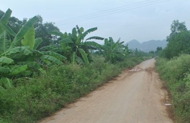 Đoạn đường nơi ông Tuệ chặn cẩu tặc và bị đánh