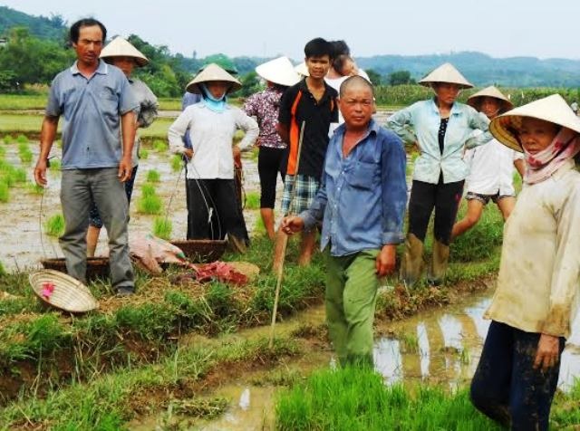 Hàng chục hộ dân xã Thành An bức xúc vì bị chính quyền phá mạ