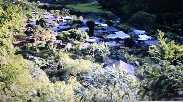 Chị Pa cho biết lúc tức thì ăn lá ngón cho chết quách đi để giải thoát