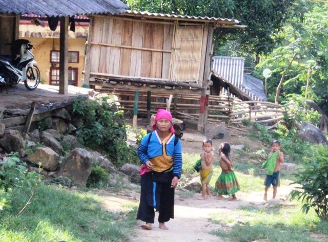 Mặc dù bị nhổ tận gốc nhưng một thời gian sau, cây lá ngón mới lại mọc lên