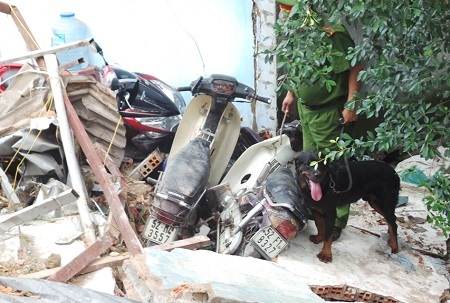 Đình Thảo – Phạm Nguyễn