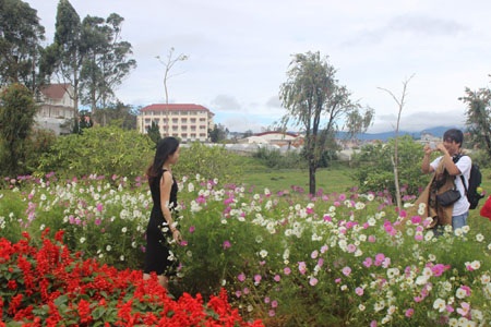 Rất đông thiếu nữ tạo dáng, chụp ảnh trong vườn hoa.