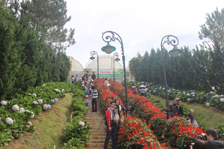 Các em nhỏ nô đùa khi đi du xuân cùng cha mẹ.