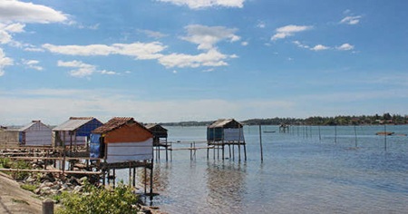 Cồn Tè - điểm du lịch sinh thái mới lạ của Huế - 2 Cồn Tè - điểm du lịch sinh thái mới lạ của Huế