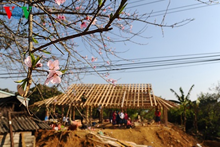 Sắc xuân trên cao nguyên Mộc Châu - 12 Mùa xuân cũng là mùa những ngôi nhà mới được dựng lên.